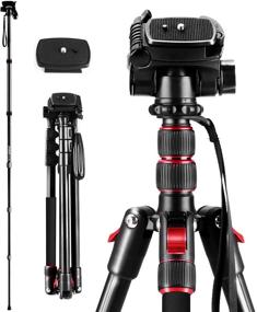 img 4 attached to 📷 Andoer 2-in-1 Photography Tripod Monopod Stand: Compact & Versatile for DSLR Cameras/Camcorders - 360° Rotatable Ball Head, 5kg Load Capacity, Aluminium Alloy - Includes Carry Bag (Max. 200cm)