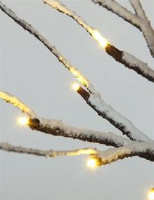 img 2 attached to 🌲 Snow-Dusted Bonsai Tree with 24 LED Lights by LIGHTSHARE