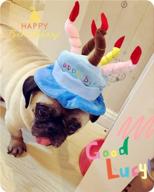 🎩 lanyarco pet costume dog holiday hats: the perfect accessory for small animals and dogs логотип