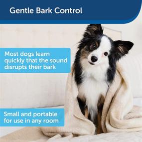 img 2 attached to 🔇 Premium PetSafe Single Room Indoor Bark Control System, Powerful Ultrasonic Anti-Bark for Dogs of Any Size