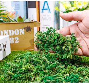 img 1 attached to 🌿 Green Dried Moss, 10.6 OZ/300G - Artificial Craft Moss Ideal for Plant Pots, Floral Arrangements & Garden Decor