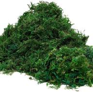 🌿 green dried moss, 10.6 oz/300g - artificial craft moss ideal for plant pots, floral arrangements & garden decor logo
