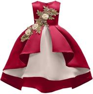 🎄 girls' christmas birthday dresses for toddler pageants - clothing logo