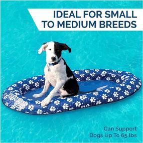 img 2 attached to 🐶 SwimWays Spring Float Paddle Paws Dog Pool Float - Small: Perfect for Dogs up to 65 lbs!