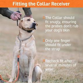 img 1 attached to 🐶 SportDOG 3225 Add-A-Dog Collar: Waterproof, Rechargeable, and Multi-Functional for Your Remote Trainer