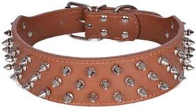 img 4 attached to 🐶 Premium Avenpets Walking Leather Dog Collar: Stylish Nickel Plated Spikes for Pitbulls and Bull Terriers