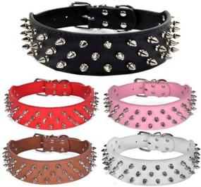 img 3 attached to 🐶 Premium Avenpets Walking Leather Dog Collar: Stylish Nickel Plated Spikes for Pitbulls and Bull Terriers