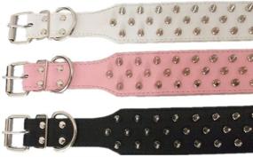 img 2 attached to 🐶 Premium Avenpets Walking Leather Dog Collar: Stylish Nickel Plated Spikes for Pitbulls and Bull Terriers