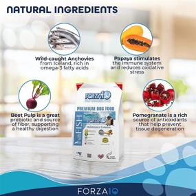 img 2 attached to 🐶 Forza10 Dry Dog Food Maintenance Evolution: Single Source Protein for Optimal Digestion – 18lb Bag