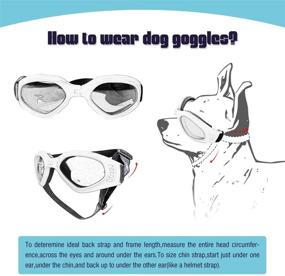 img 2 attached to 🐶 Lesypet Dog Goggles Dog Sunglasses, UV Protection Eye Goggles for Small Dogs