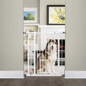 img 2 attached to 🐾 Carlson Extra Tall Walk Through Pet Gate with Small Pet Door: Complete Kit for Ultimate Pet Safety