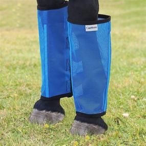img 3 attached to CareMaster Mesh Boots Horse Sky