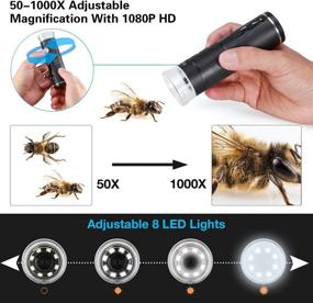 img 3 attached to 📷 Denfany Wireless Digital Microscope: 50x and 1000x Zoom, WiFi Camera with Adjustable Stand - 1080P Upgrade, 8 LED Light for iPhone/iPad/Smartphone/Tablet/PC/MAC
