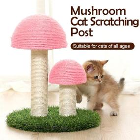 img 1 attached to 🍄 PowerKing Mushroom Cat Scratching Post: 15 x 12 Inch Natural Sisal Claw Scratching Post for Kitty - Cat Interactive Toys and Tree Tower