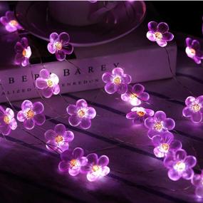 img 1 attached to HDNICEZM Fairy Pink Cherry Blossom String Lights - Waterproof 21ft 40 LEDs USB Plug in Lights for Spring, Nursery, Wedding, Dorm, Girls Bedroom, Baby Carriage Decoration