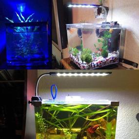 img 3 attached to 🐠 Улучшите свой опыт аквариума с осветлением MingDak Fish Tank Cлово типа над держателем - таймер, регулировка яркости, 3 режима освещения, 7 Вт, 18 светодиодов.