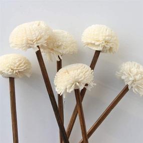 img 1 attached to 🌺 30-Pack of Brown Rattan Reed Fragrance Diffuser with Flower Replacement Refill Sticks by nongcunren