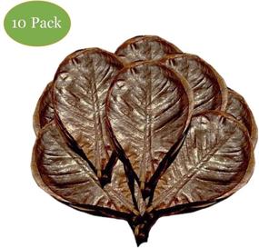 img 3 attached to 🦀 SunGrow Hermit Crab Leaves: 7-inch Long, Dried Leaves for Increased Humidity, Tasty Crab Snack & Cellulose Source - Pack of 10