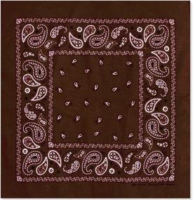 img 3 attached to 🧣 ToBeInStyle Classic Cotton Graphic Bandana: High-Quality Men's Handkerchief Accessories