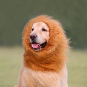 img 1 attached to 🦁 CHICHIC Dog Lion Mane: Realistic & Adjustable Halloween Wig Costume for Medium to Large Dogs - Ears and Tail for Holiday Photoshoots!