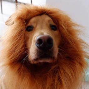 img 4 attached to 🦁 CHICHIC Dog Lion Mane: Realistic & Adjustable Halloween Wig Costume for Medium to Large Dogs - Ears and Tail for Holiday Photoshoots!