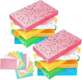 img 4 attached to 🧽 Versatile Cellulose Compressed Sponges: 12 Pack for Scratch-Free Cleaning, Face Scrub, Dishwashing, Kitchen, Bathroom, DIY Crafts & More
