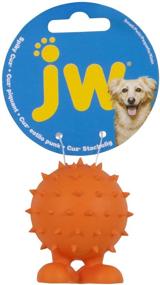 img 2 attached to JW Spiky 🦔 Cuz Interactive Toy Assistant