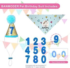 img 2 attached to Celebrate Your Pup's Special Day with BANMODER Dog Birthday Bandana and Party Hat Set