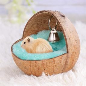 img 1 attached to 🐹 POPETPOP Dwarf Hamster Nest: Cozy Hanging Bird Coconut Shell Bed with Random Color Cushion - Perfect Resting Place for Dwarf Hamster, Gerbil, and Squirrel