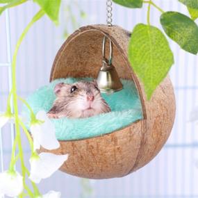 img 3 attached to 🐹 POPETPOP Dwarf Hamster Nest: Cozy Hanging Bird Coconut Shell Bed with Random Color Cushion - Perfect Resting Place for Dwarf Hamster, Gerbil, and Squirrel