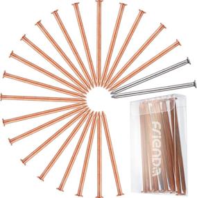 img 4 attached to 🌲 Frienda Large Copper Nails for Tree Killing, Stump Removal - 20 Pieces 3.5 Inch Long Nail Spikes with 2 Steel Nails and Storage Box