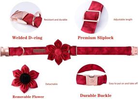 img 2 attached to 🎄 Stylish Christmas Dog Collar with Flower: Adjustable Elegant Little Tail Collar for Male and Female Dogs