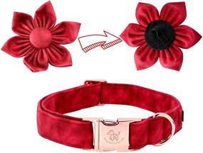 img 1 attached to 🎄 Stylish Christmas Dog Collar with Flower: Adjustable Elegant Little Tail Collar for Male and Female Dogs