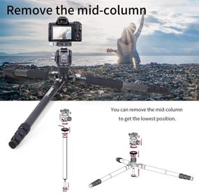 img 1 attached to 📷 INNOREL RT85C Carbon Fiber Tripod: Super Professional Heavy Duty Stand with 360° Panoramic Ballhead for DSLR Camera