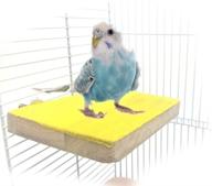 bird wood perch stand with rough sand surface | parrot colorful platform toy for macaw, african grey, budgies, parakeet, cockatiel, conure, lovebird, finch | cage accessories with chew & bite paw grinding | random color logo