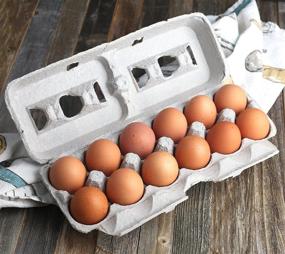 img 2 attached to 🥚 MT Products Printed Natural Pulp Egg Cartons - 1 Dozen Extra Large, Strong & Sturdy - Ideal for Storing Extra Eggs (25 Cartons)