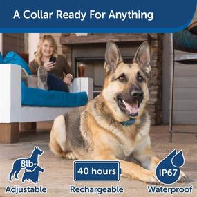 img 1 attached to 🐶 Smart Dog Training Collar by PetSafe: Smartphone-Controlled, All-in-One Pet Training Solution with Bluetooth Wireless System – Tone, Vibration, and 1-15 Levels of Static Stimulation