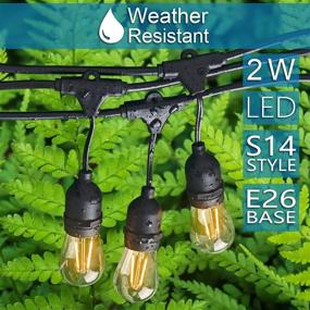 img 2 attached to 🌟 48FT LED Outdoor String Lights by Banord – Dimmable Edison Vintage Plastic Bulbs, Commercial Grade Weatherproof Strand with UL Listing – Heavy-Duty Café Lights for Patio, Porch, and Market