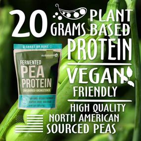 img 2 attached to 🌱 Nutrasumma 100% Plant Based Fermented Pea Protein Powder - Unflavored & Unsweetened, 2.14lbs - Vegan, Non-GMO, Gluten & Soy Free