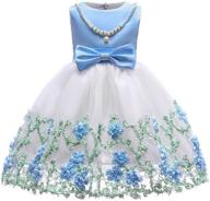 princess sleeveless halloween dresses for teenage girls - nssmwttc girls' clothing collection logo