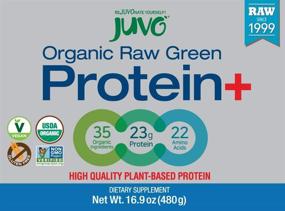 img 3 attached to 🌱 Organic Vegan Green Protein Powder - Gluten Free, Non-GMO, Kosher, No Stevia - 16.9 Ounce - 23g Protein, Complete Amino Acid Profile