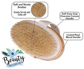 img 3 attached to 🧴 Opaz Dry Body Brush 2 pack with Natural Bristles - Exfoliating Scrubber for Dry Skin - Wet/Dry Use for Smooth Cellulite - Enhance Blood Circulation