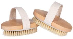 img 4 attached to 🧴 Opaz Dry Body Brush 2 pack with Natural Bristles - Exfoliating Scrubber for Dry Skin - Wet/Dry Use for Smooth Cellulite - Enhance Blood Circulation