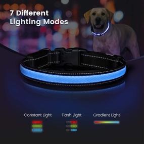 img 3 attached to 🐶 IOKHEIRA LED Flashing Dog Collar: USB Rechargeable, 7 Lighting Modes, Adjustable Size for Night Safety & Visibility (L)