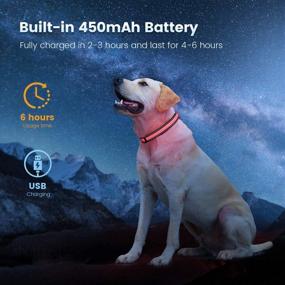 img 1 attached to 🐶 IOKHEIRA LED Flashing Dog Collar: USB Rechargeable, 7 Lighting Modes, Adjustable Size for Night Safety & Visibility (L)