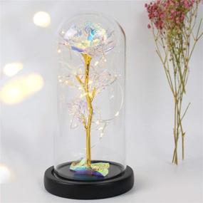 img 4 attached to 🌹 Colorful Artificial Flower Rose Gift with LED Light String in Glass Dome - Perfect Christmas, Birthday, or Thanksgiving Gift for Women - Lasts Forever
