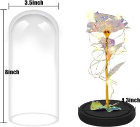 img 2 attached to 🌹 Colorful Artificial Flower Rose Gift with LED Light String in Glass Dome - Perfect Christmas, Birthday, or Thanksgiving Gift for Women - Lasts Forever