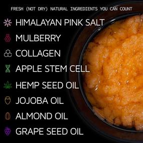 img 1 attached to 🌿 Himalayan Salt Scrub with Mulberry, Collagen, Apple Stem Cell, Hemp Seed Oil, Jojoba Oil | Exfoliating Face Scrub & Body Scrub | Natural Hydrating Face Moisturizer | Detoxifying Exfoliator Cleanser | Gender Neutral | Acne, Blackheads, Dark Spots, Wrinkles, Pore Minimizer | 12 oz