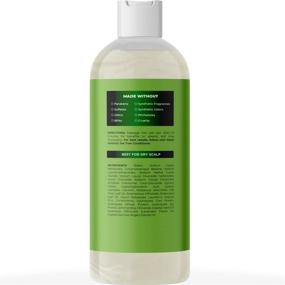 img 3 attached to 🍃 Tea Tree Oil Shampoo: Revitalizing Solution for Oily Hair, Greasy Scalp, and Build-up - Essential Oils infused Clarifying and Cleansing Haircare