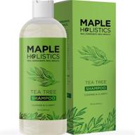 🍃 tea tree oil shampoo: revitalizing solution for oily hair, greasy scalp, and build-up - essential oils infused clarifying and cleansing haircare logo